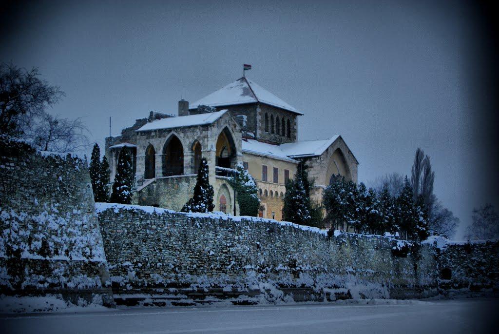 Siraly Panzio Topart Tata Dış mekan fotoğraf